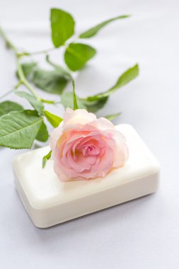 Güzel, pembe güller beyaz sepet içinde yakın çekim 