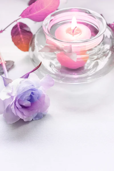 Violet rose with a candle on grey background Royalty Free Stock Images