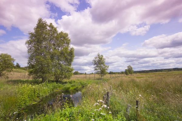 Vackra lantliga landskapet på sommaren — Stockfoto