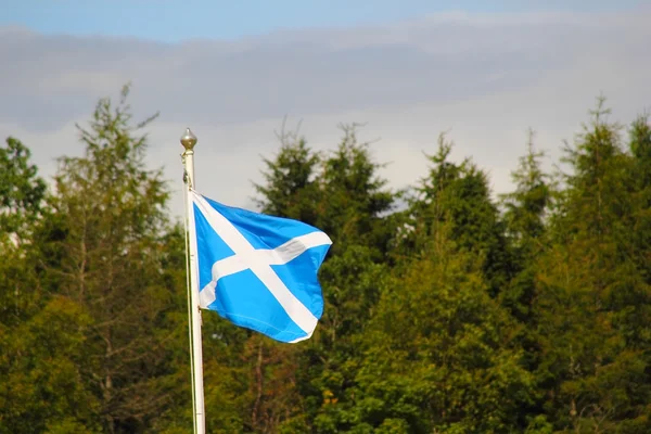 Bandera de Escocia frente a la naturaleza — Foto de Stock