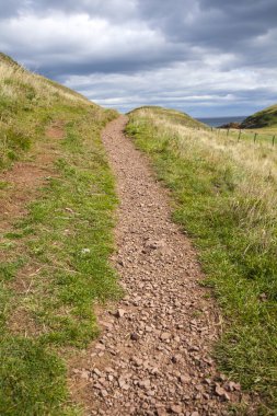 Yakın çekim yaz yeşil çim ve bir yol ile arka plan 