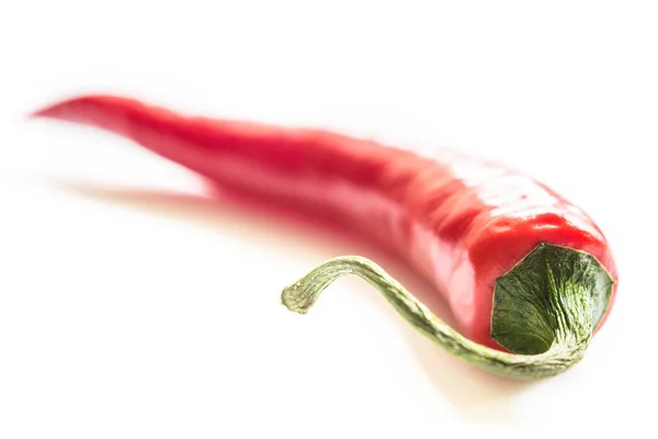 Chili pepper na světlém pozadí, makro snímek — Stock fotografie