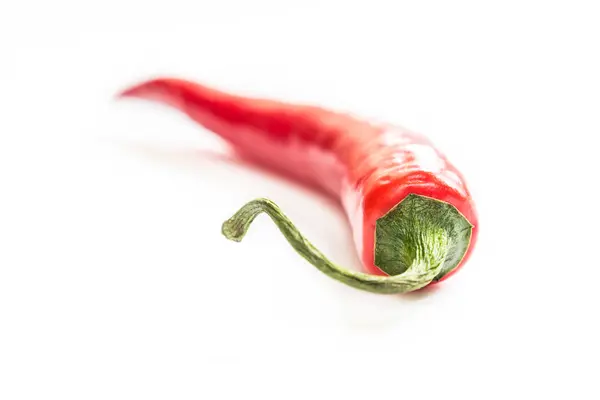 Chili pepper na světlém pozadí, makro snímek — Stock fotografie