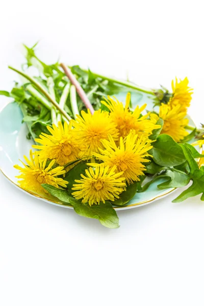Sárga dandellion virágok egy tányérra, közelről — Stock Fotó