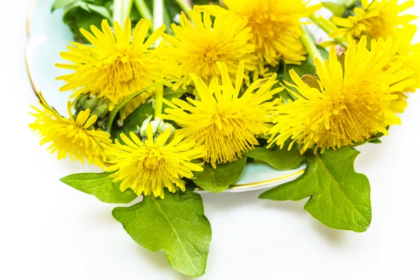 Fiori di dandellion gialli su un piatto, primo piano — Foto Stock