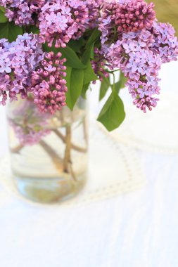 Cam Vazoda beyaz ince zemin üzerinde taze, romantik Lila dalları 