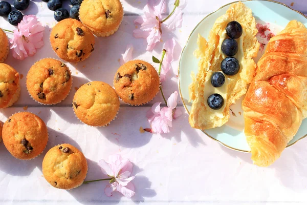 Rústico café da manhã de madeira fundo com mirtilos, mini muffins frescos e flores de cereja florescendo — Fotografia de Stock