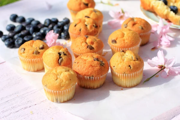 Rustikale hölzerne Frühstückshintergrund mit Blaubeeren, frischen Muffins und blühenden Kirschblüten — Stockfoto