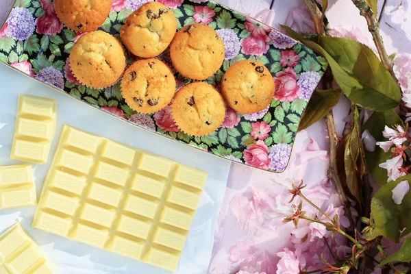 Taze İskoç çörekler ve beyaz kiraz çiçeği arka plan ile çikolata — Stok fotoğraf