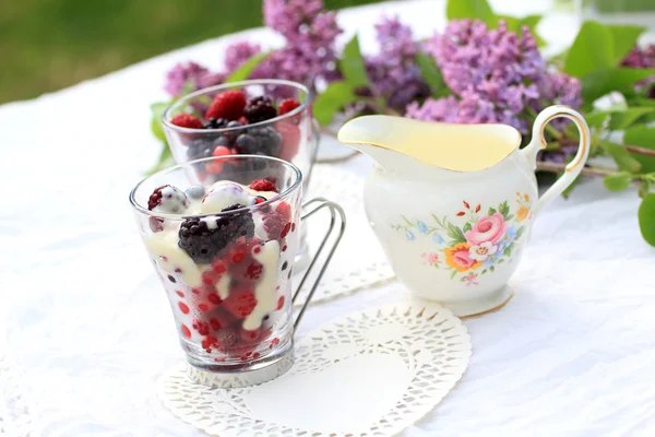 Frozen fruit with white chocolate sauce on the garden table — Stock Photo, Image
