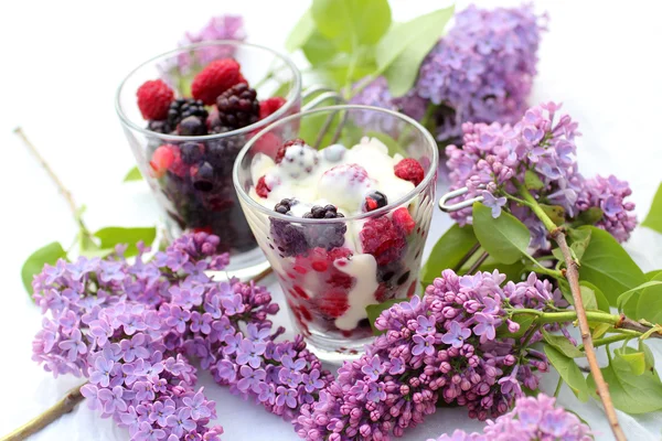 Fruta congelada con salsa de chocolate blanco en la mesa del jardín —  Fotos de Stock