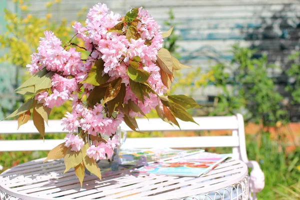 Fiore di ciliegio giapponese nel vaso in giardino — Foto Stock