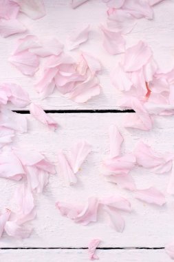 Açık pembe ahşap arka plan üzerinde Hassas lanapese kiraz çiçekleri yaprakları