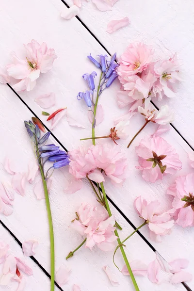 Schöne blumige, frühlingshafte Hintergrund mit japanischen Kirschblüten — Stockfoto