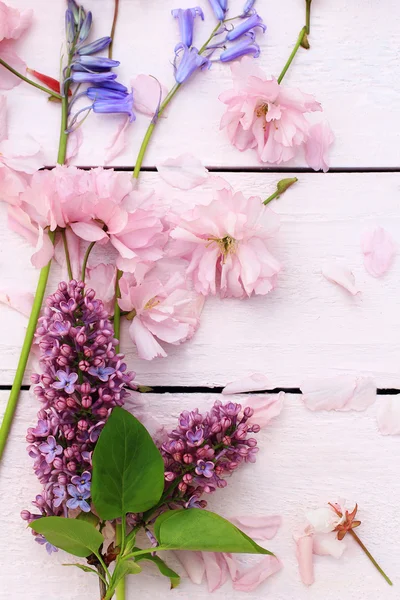 Bello sfondo floreale, primavera con fiori di ciliegio giapponesi — Foto Stock