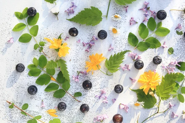 Fundo bonito do verão / mola com flores frescas e folhas no branco — Fotografia de Stock