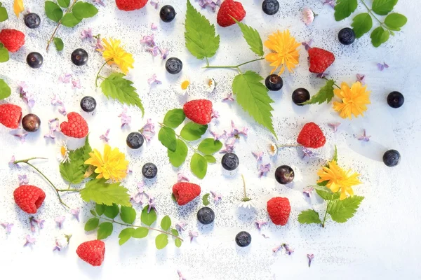 Bellissimo sfondo estate / primavera con fiori freschi e foglie su bianco — Foto Stock