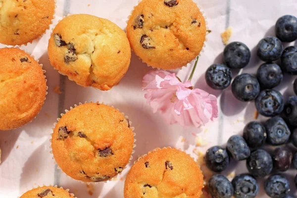 Heerlijke Schotse, muffins op een houten roze tafel, vers ontbijt in de tuin van voorjaar — Stockfoto