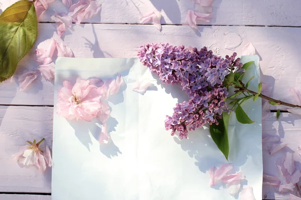 Fundo floral bonito, Primavera com flores florescendo cereja japonesa — Fotografia de Stock