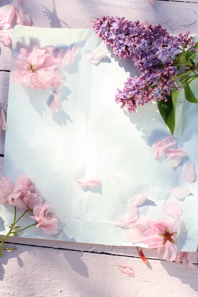 Beau fond floral printanier avec fleurs de cerisier japonais en fleurs — Photo