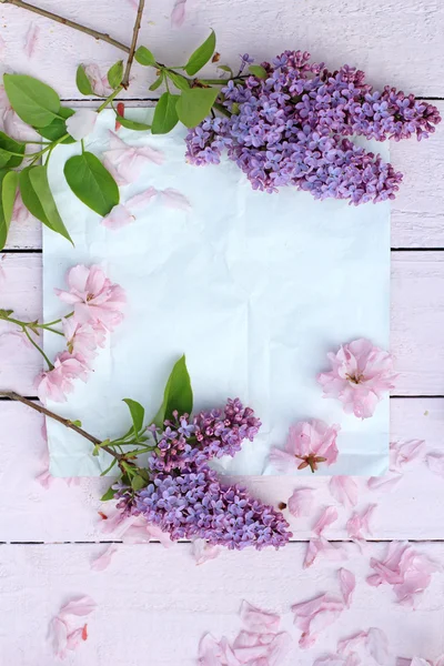Fundo floral bonito, Primavera com flores florescendo cereja japonesa — Fotografia de Stock