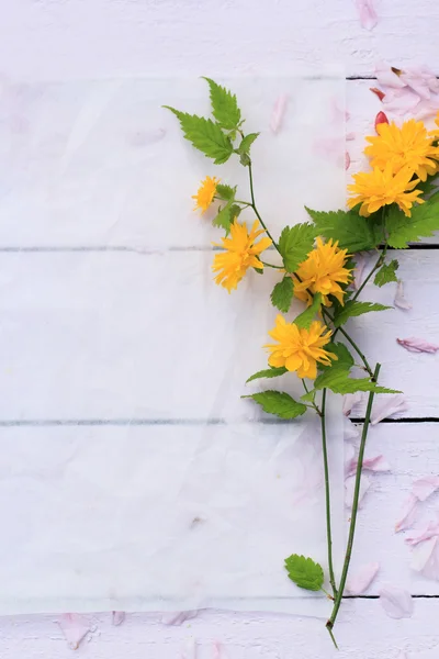 Beau fond floral avec des fleurs de printemps — Photo