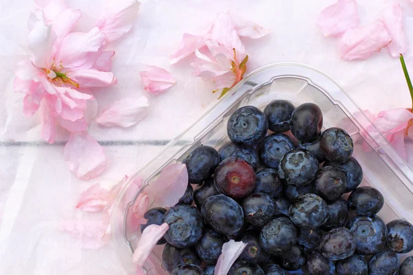 Όμορφες floral φόντο με ανοιξιάτικα λουλούδια και ένα κουτί με βατόμουρα — Φωτογραφία Αρχείου