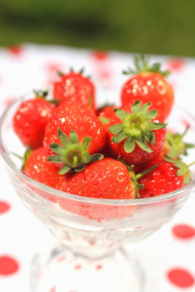 Fragole fresche in una tazza di vetro, da vicino in giardino — Foto Stock