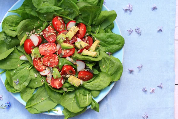 Vers, vegetarische salade en een kom van radijs — Stockfoto