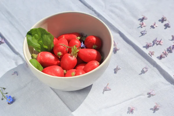 Un bol de radis frais mûr, fermer — Photo