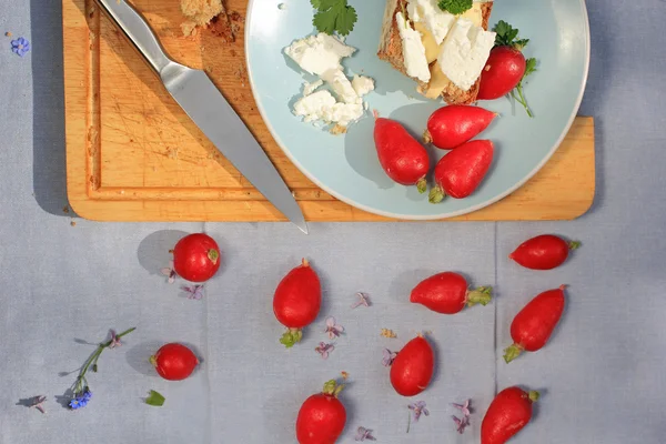 Frisches gesundes Frühstück, eine Scheibe Sodabrot mit Butter und Quark und rotem Rettich — Stockfoto