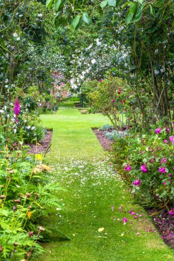 Güzel yaz Bahçe yeşil çim ve çeşitli çiçeklerle
