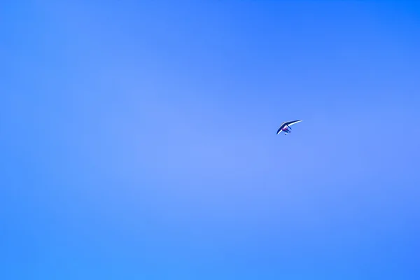 Parapentes volando con paramotor — Foto de Stock