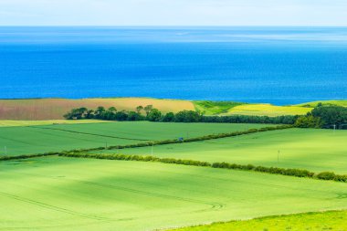 İskoç yaz manzara, Doğu güçlendiricisi, İskoçya, Birleşik Krallık