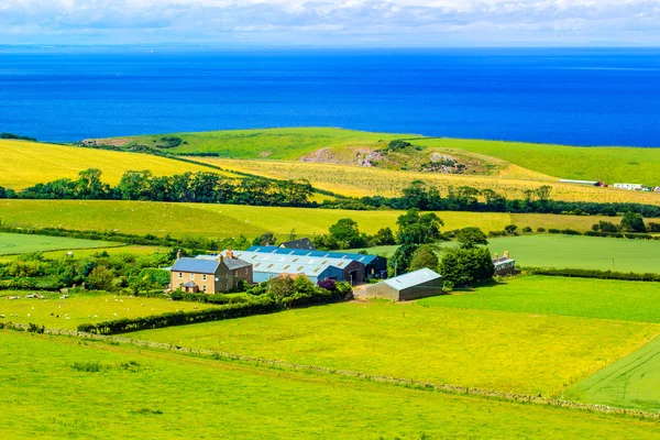 Skotský letní krajina, východní Lothians, Skotsko, Velká Británie — Stock fotografie