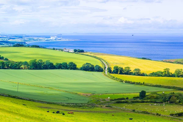Paisaje escocés del verano, East Lothians, Escocia, Reino Unido — Foto de Stock