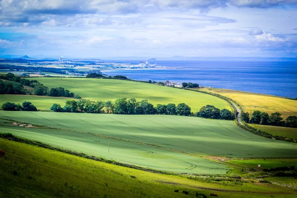Шотландский летний пейзаж, Восточные Лотианцы, Шотландия, Великобритания — стоковое фото
