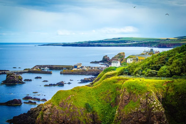 Szkocki summer krajobraz, wiosce St Abbs wieś, Scotland, Wielka Brytania — Zdjęcie stockowe