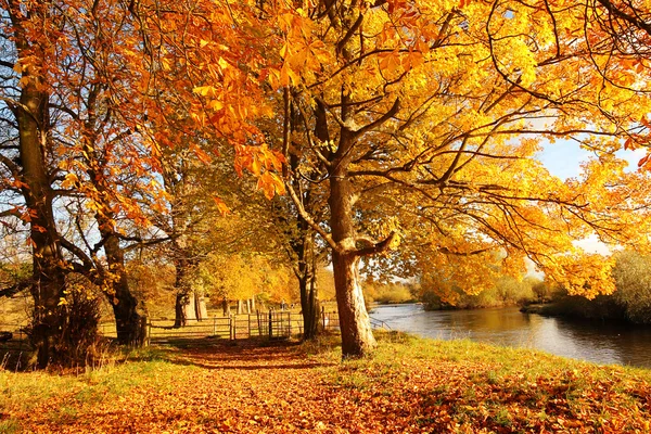 Beautiful Autumn in the Park, Scotland — Stock Photo, Image