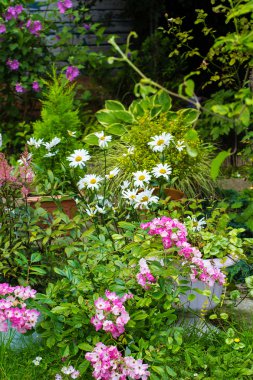 Yaz aylarında güzel ev Bahçe