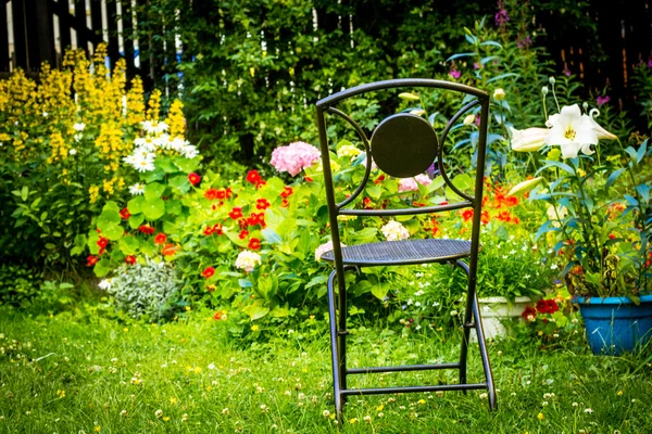 Schöner Hausgarten im Sommer — Stockfoto