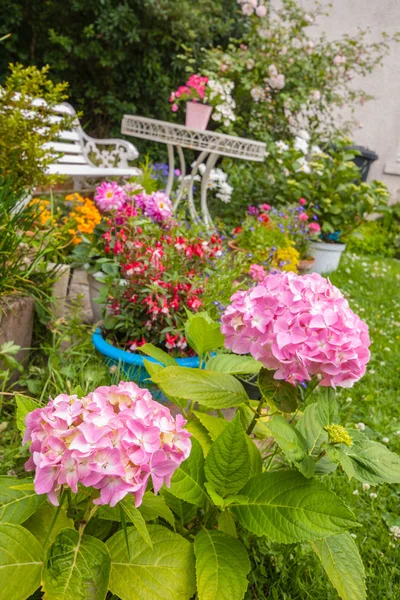 Jardín casero en flor — Foto de Stock