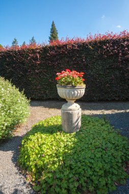 güzel yaz peyzajlı Bahçe