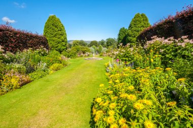 güzel yaz peyzajlı Bahçe