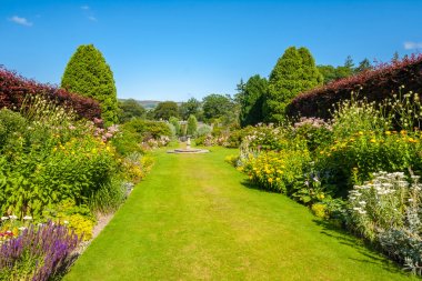 Beautiful landscaped summer garden clipart