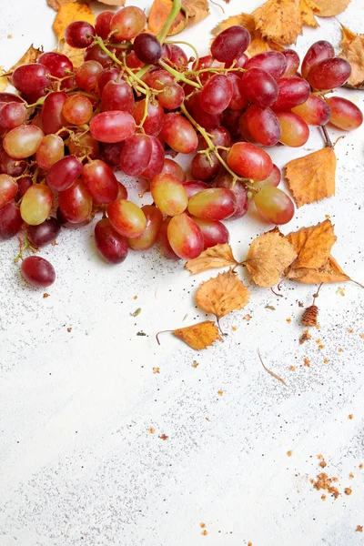 Fundo outonal com uvas maduras — Fotografia de Stock