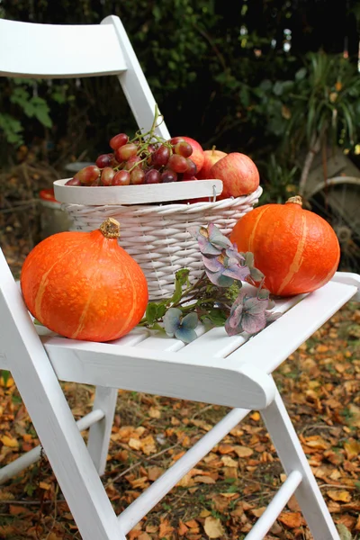 Fruits d'automne dans le jardin — Photo