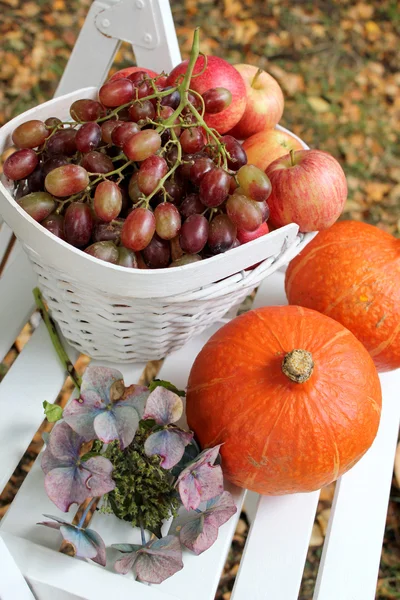 Herbstfrüchte im Garten — Stockfoto