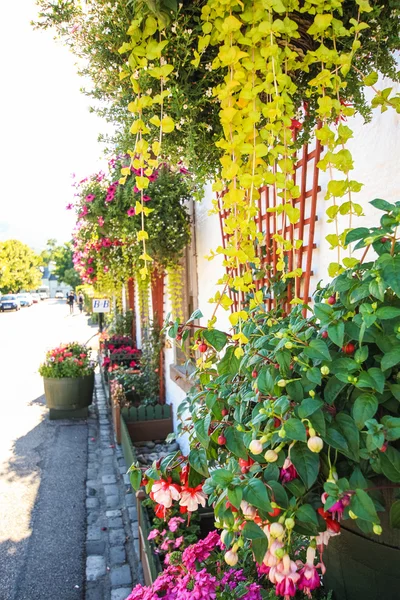 Bloem decoratie buiten een huis — Stockfoto