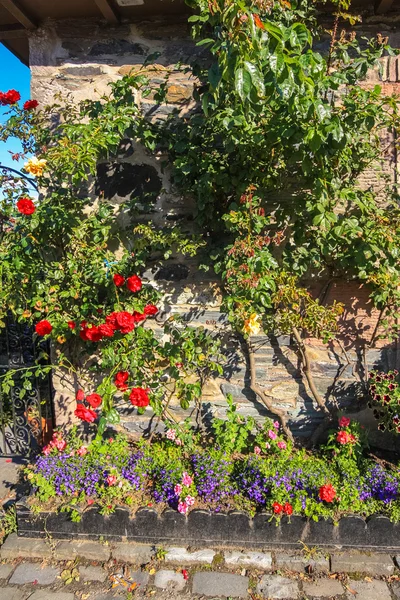 Квіткова прикраса зовні будинку — стокове фото
